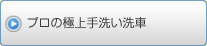 プロの極上手洗い洗車