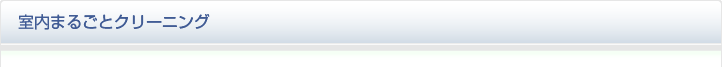 室内まるごとクリーニング
