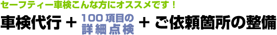 セーフティー車検こんな方にオススメです！車検代行+100項目の詳細点検+ご依頼箇所の整備