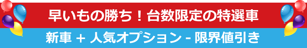 早いもの勝ち！台数限定の特選車 新車+人気オプション-限界値引き