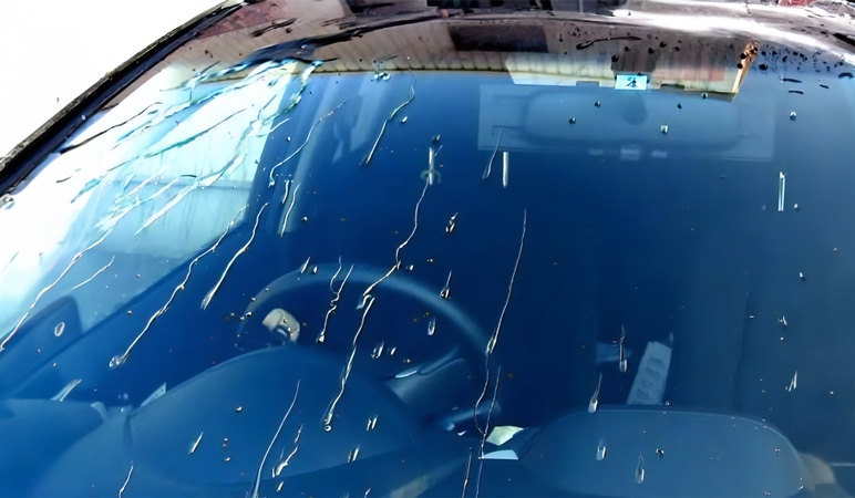 フロントガラスコーティング